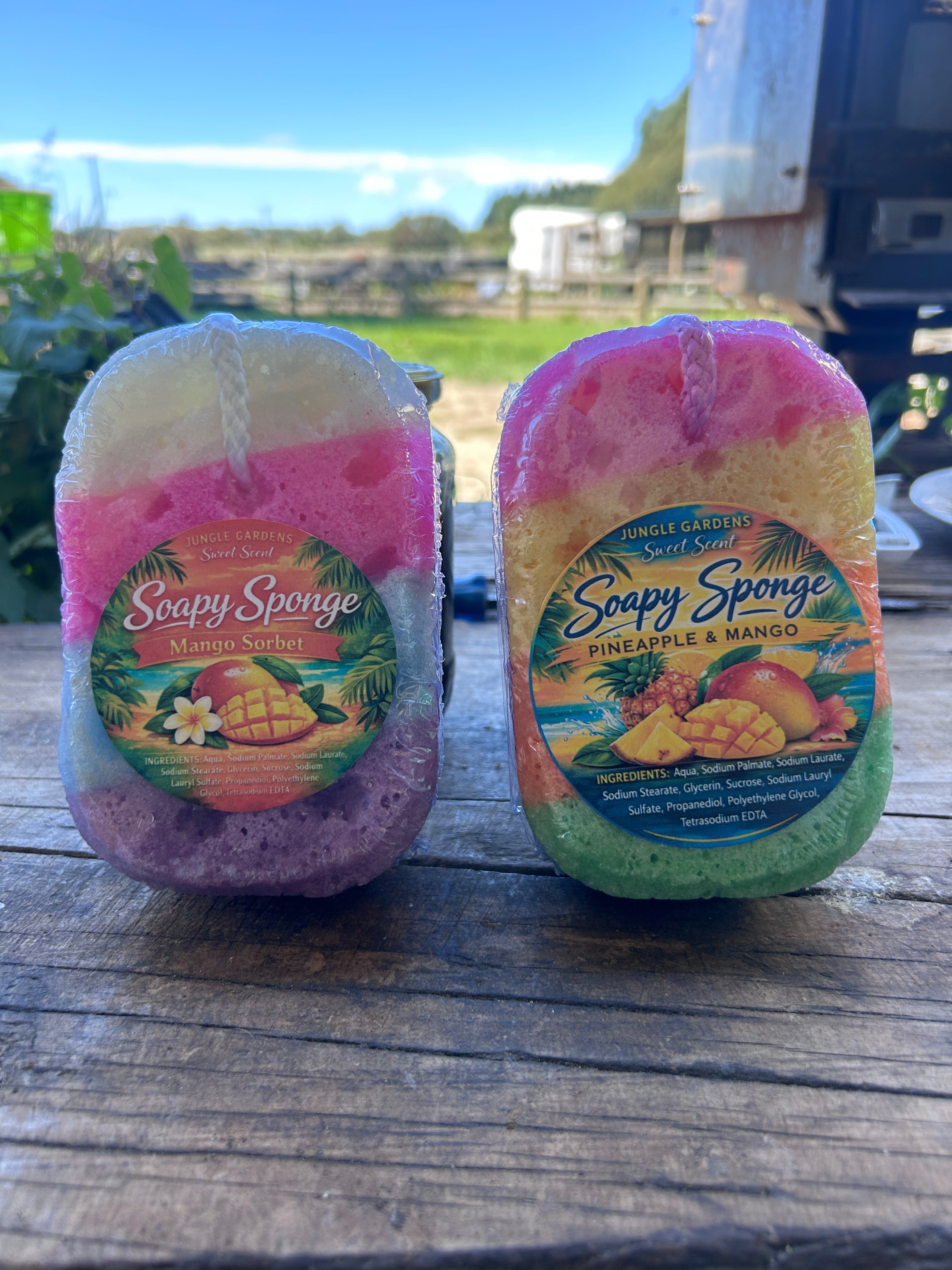 Pineapple & Mango