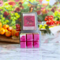 Lychee Guava Sorbet Wax Melts